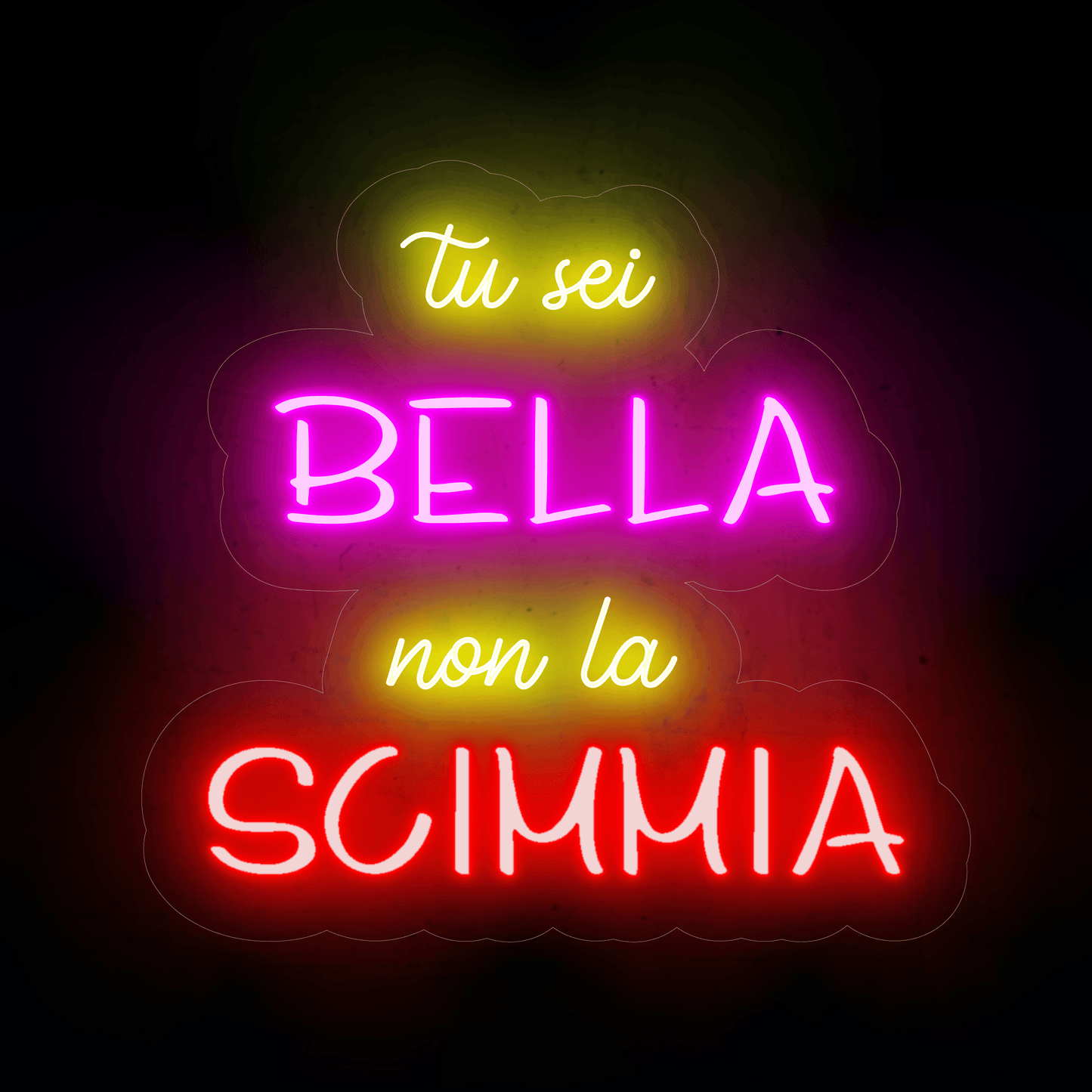 tu sei bella non la scimmia